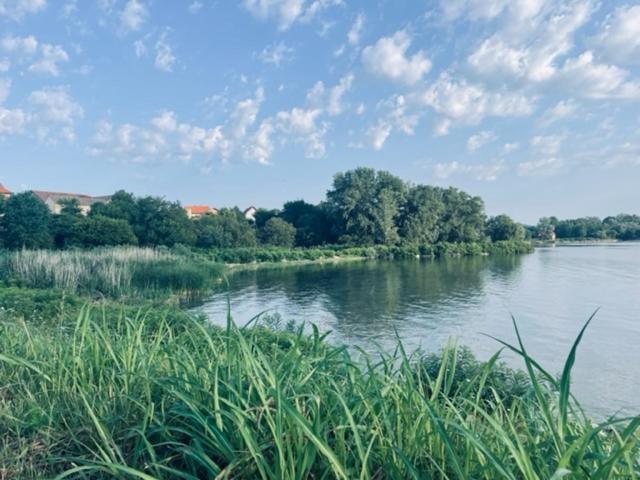 Sobe Djurdjevic Hotel Zatonje Bagian luar foto